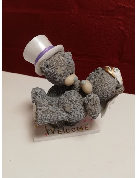 Couple welcome mariée dans les bras