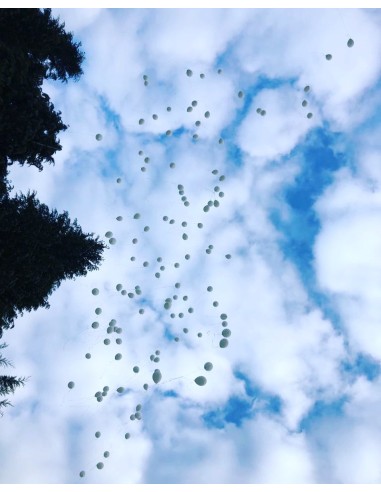 Evènement de Société ou Boîte de nuit